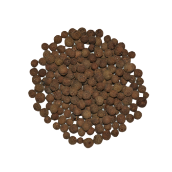 Allspice 