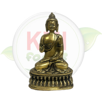 Buddha Statue in Copper